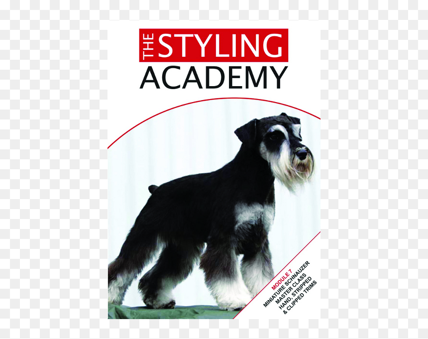 Schnauzer Png, Transparent Png - schnauzer png