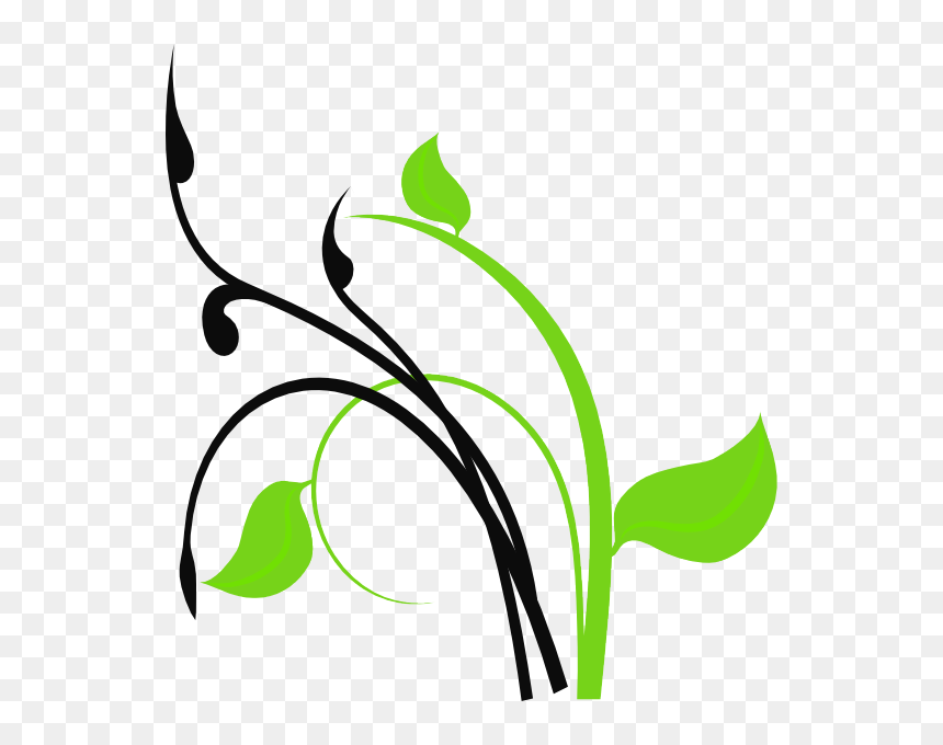 Olive Branches Png, Transparent Png - olive branches png