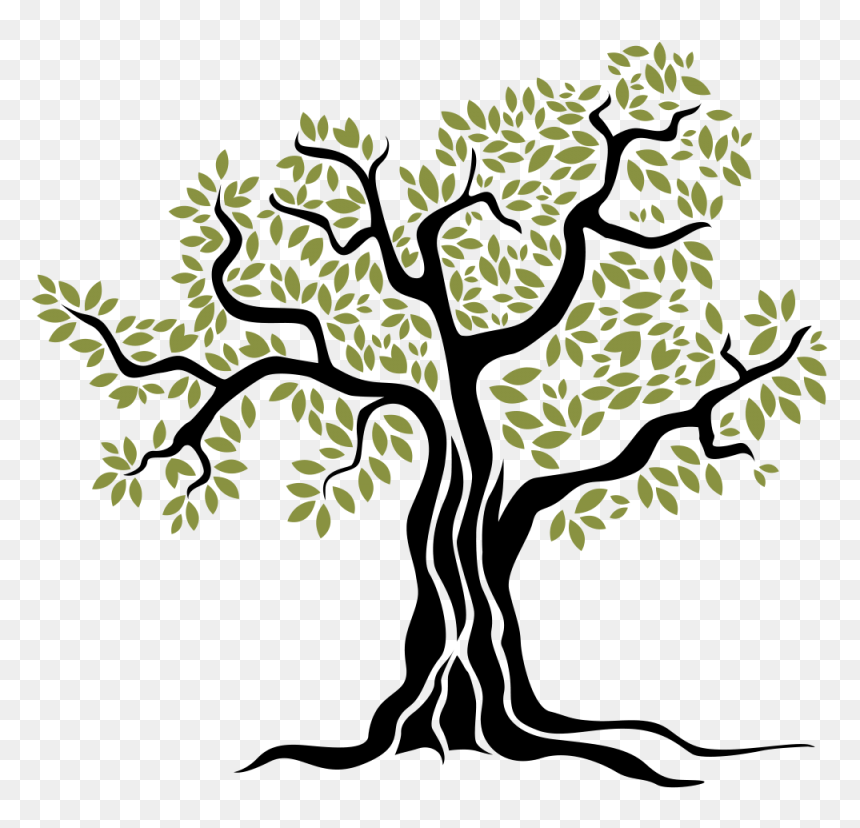 Olive Branches Png, Transparent Png - olive branches png