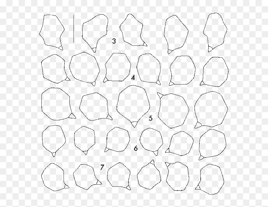 Line Art, HD Png Download - thick smoke png
