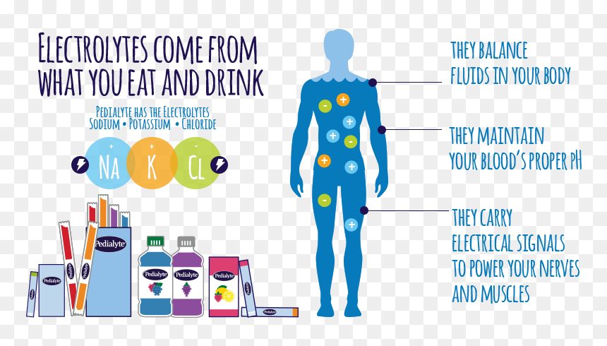 Thumb Image - Electrolytes In Body, HD Png Download - nerves png