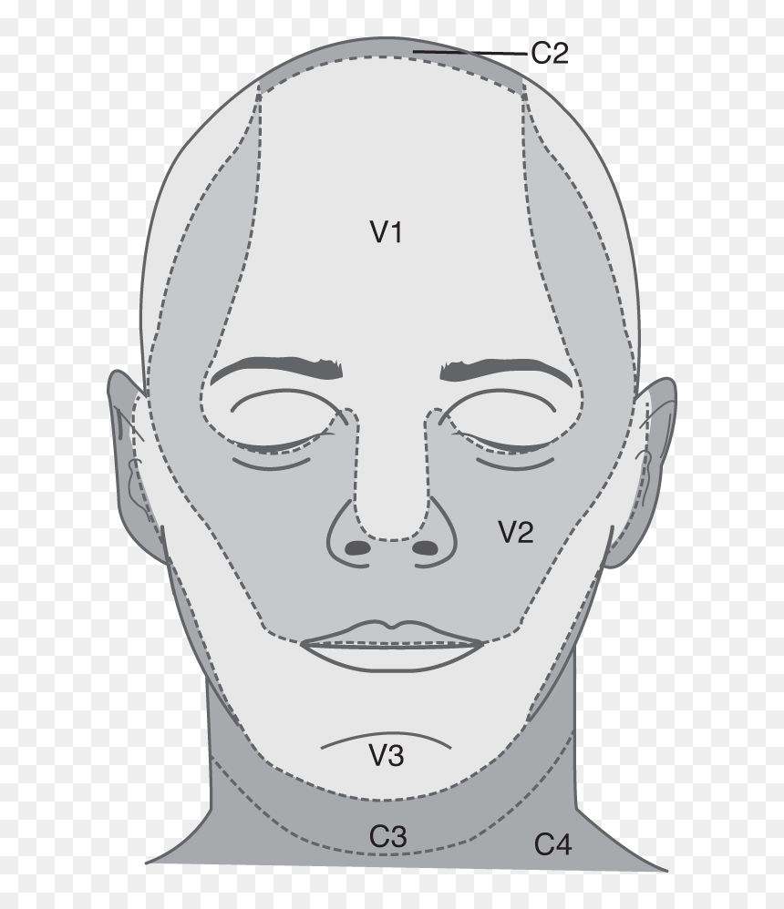 Sketch, HD Png Download - nerves png