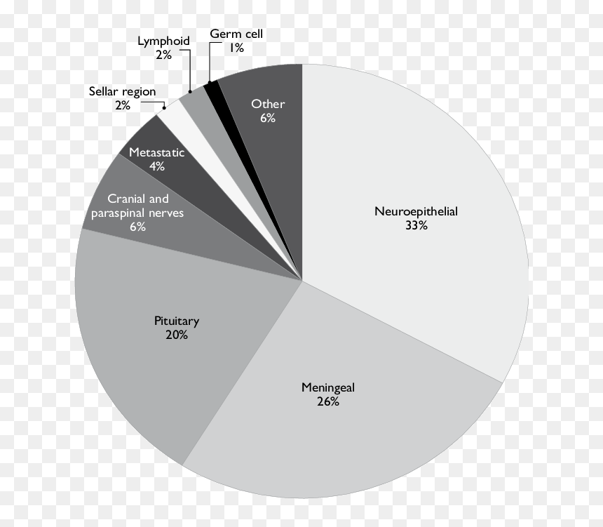 Percent Frequencies Of Central Nervous System Tumors - Cells In Nervous System Percentage, HD Png Download - nerves png