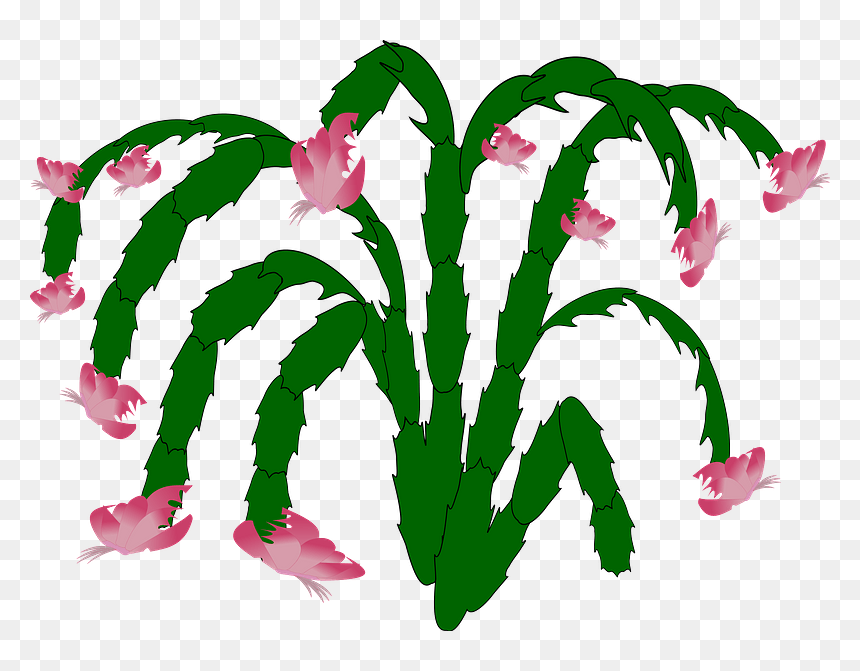 Flor De Maio Clipart - Clip Art, HD Png Download - copa de vino png
