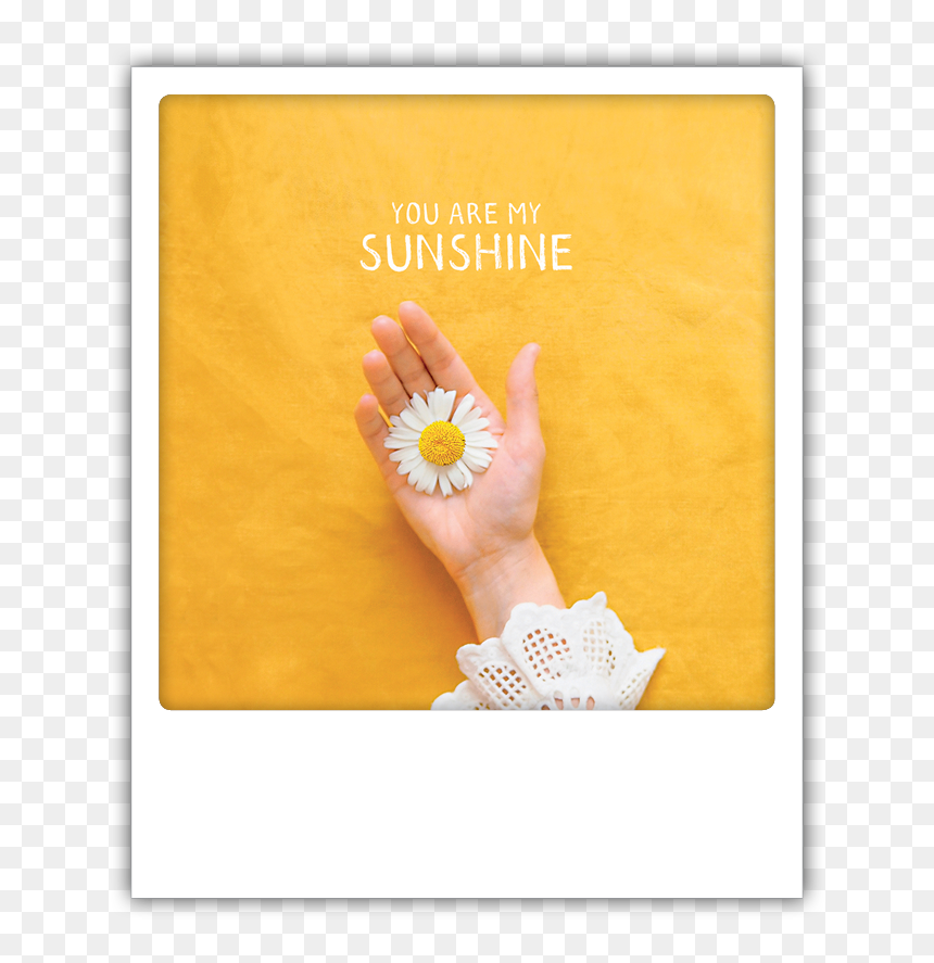 Creative Arts, HD Png Download - you are my sunshine png