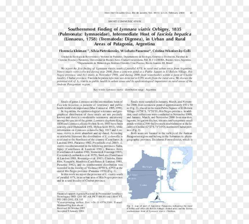 Document, HD Png Download - vectores png negro
