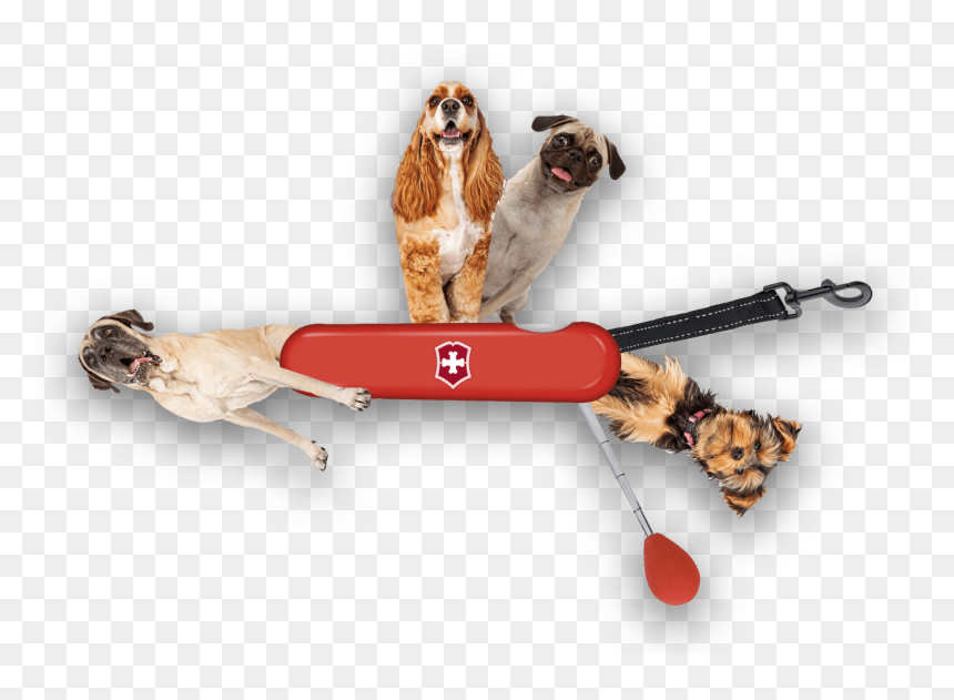 Swiss Army Knife, HD Png Download - swiss army knife png