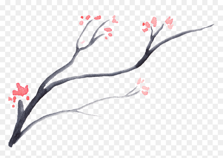 This Graphics Is Dead Wood Bloom Flower Transparent - Cherry Blossom, HD Png Download - dead flower png
