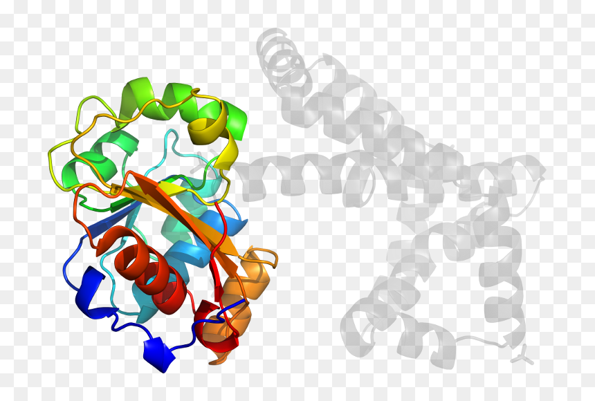 D5yeqa1 In Context Of Chain - Illustration, HD Png Download - cartoon chain png