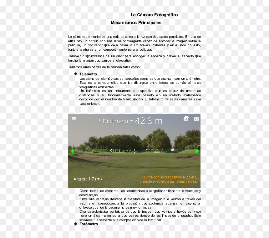 Tree, HD Png Download - lente de camara png