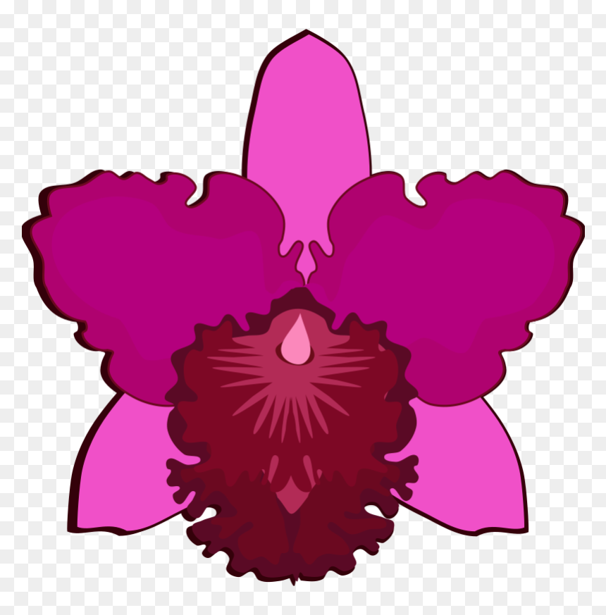 Cattleya-07h - Cattleya Flower Clip Art, HD Png Download - orquideas png