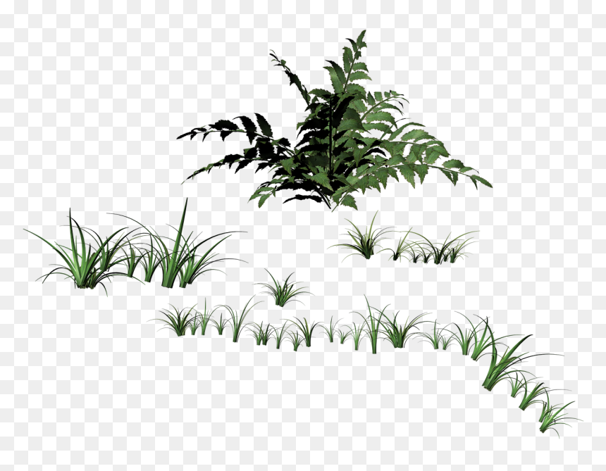Grass Blades Of Grass Filigree Free Photo - Травинки Пнг, HD Png Download - grass blade png