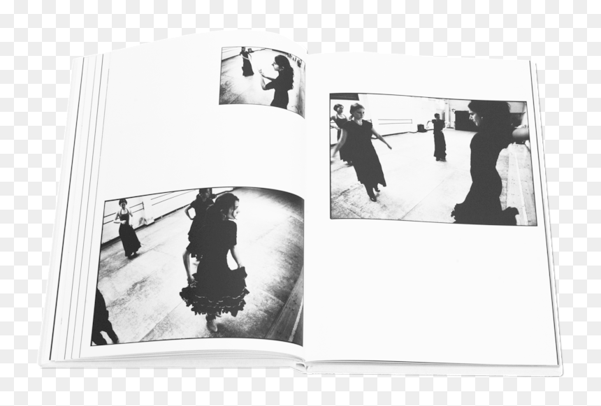 Books Flamenco - Photograph, HD Png Download - flamenco png