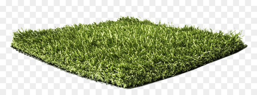 Artificial Grass Liquidators Turf Agl Pro90 - Lawn, HD Png Download - grass blade png