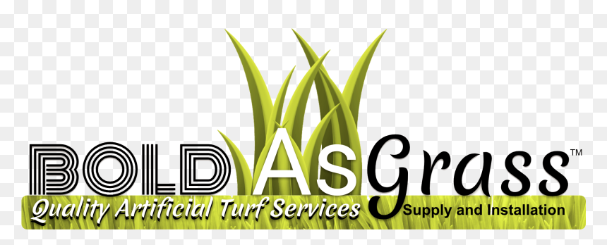 Bold As Grass - Grass, HD Png Download - grass blade png