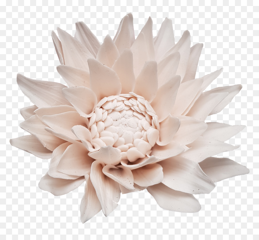 Artificial Flower, HD Png Download - dahlia png
