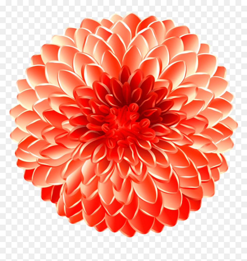 Free Png Flower Transpa Png Images Background Png Images - Dahlia, Transparent Png - dahlia png