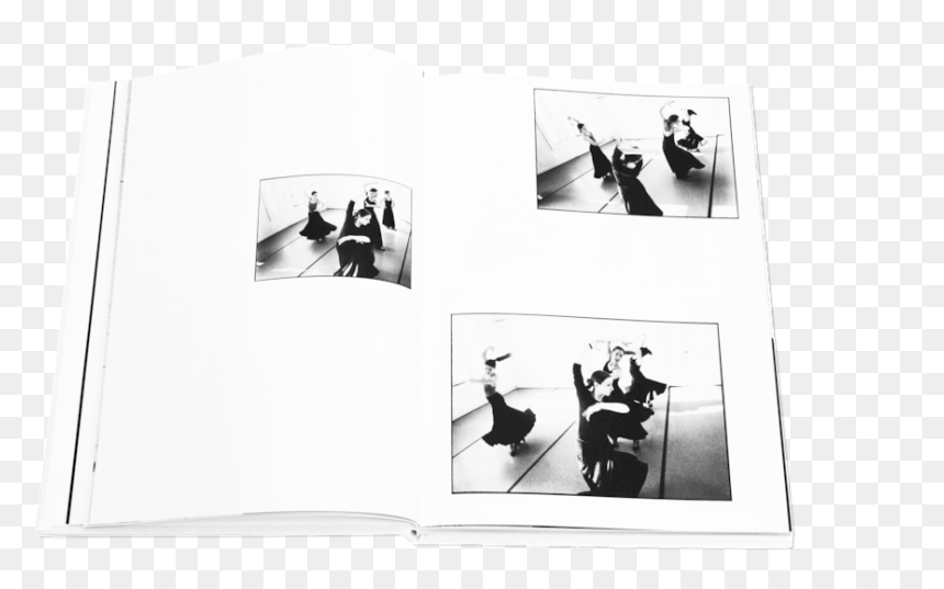 Books Flamenco 3 - Photographic Paper, HD Png Download - flamenco png