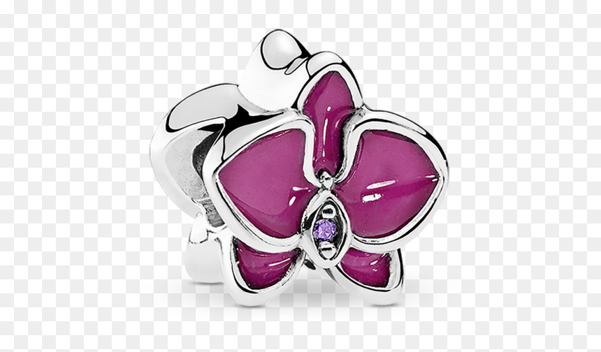 Pngtrpnt 792074en69 Rgb - Pandora Orchid Charm, Transparent Png - orquideas png