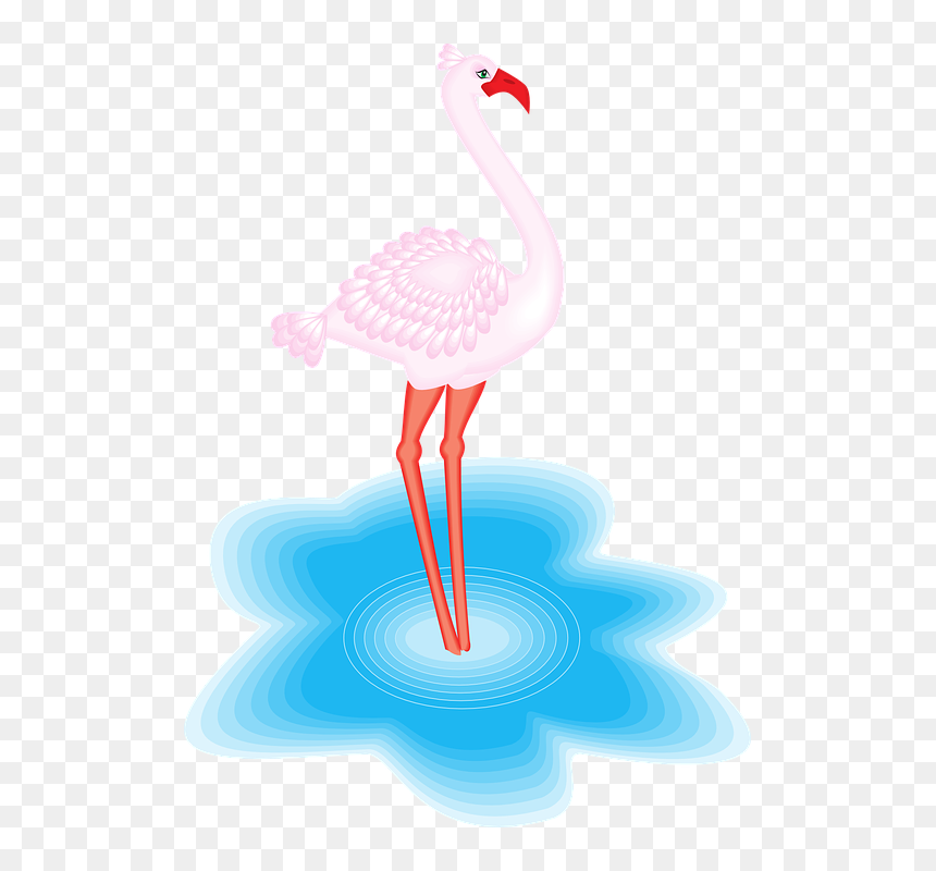 Flamingo Na Agua Png, Transparent Png - flamenco png