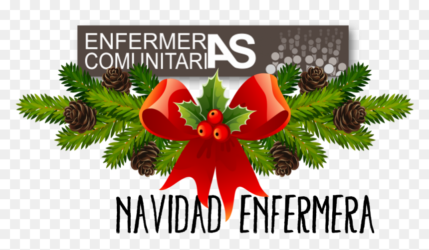Christmas Wishes In Afrikaans, HD Png Download - gorro navideño png