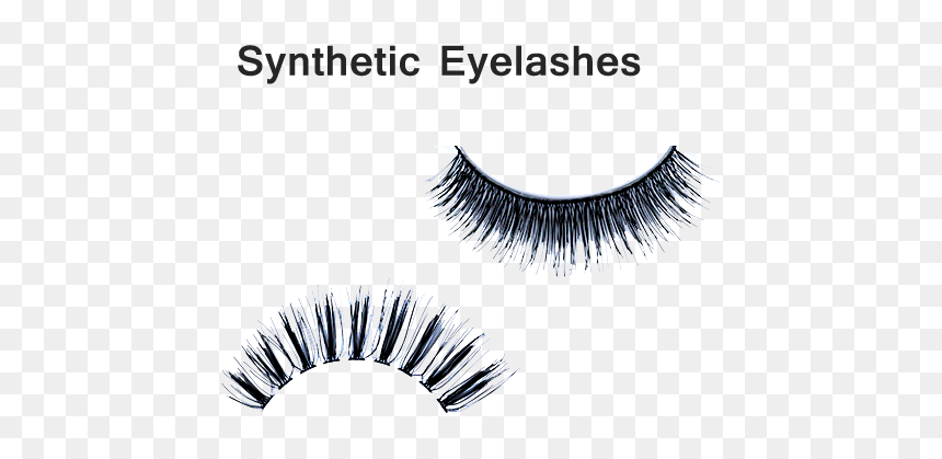 Taxonomie Bloom, HD Png Download - fake eyelashes png