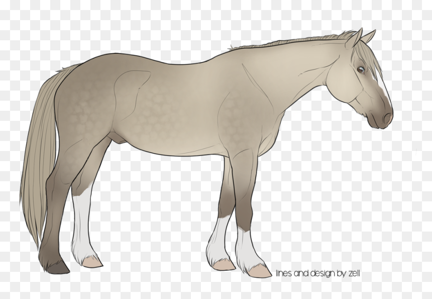 Pastel Rainbow With A Little Extra Purple Or Shades - Mane, HD Png Download - pastel rainbow png