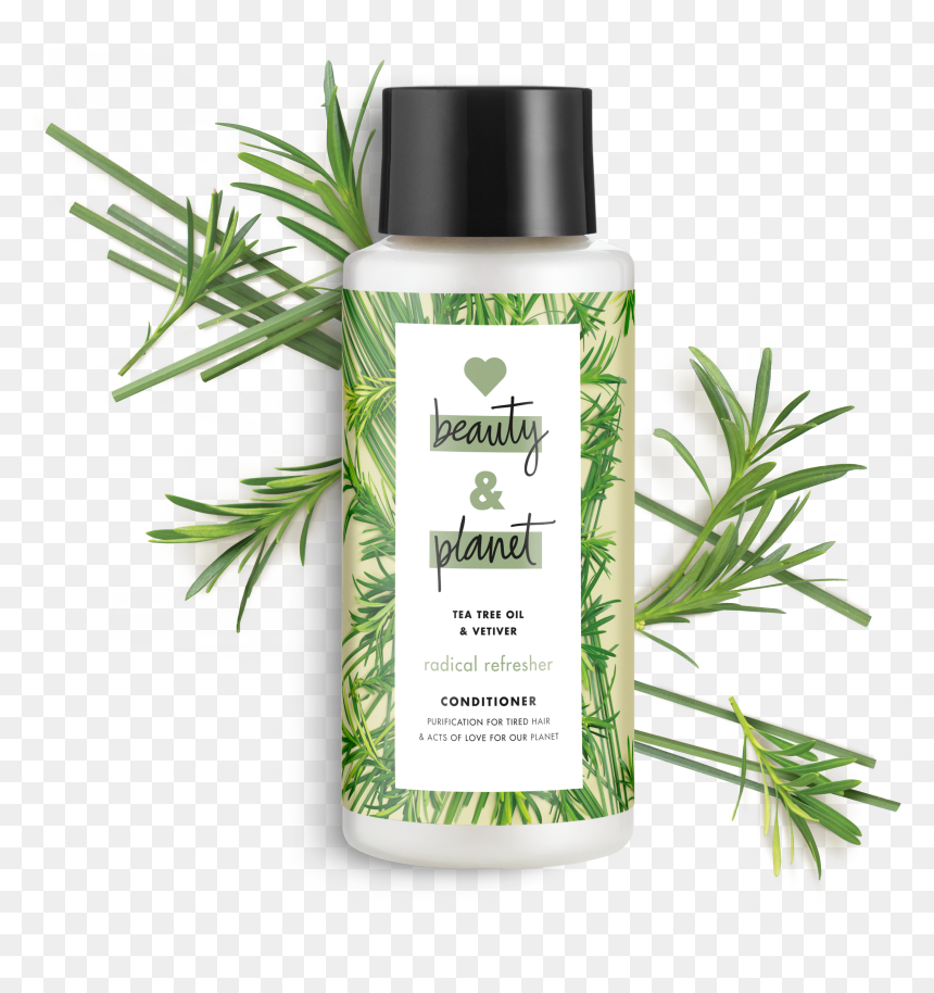 Love Beauty And Planet Tea Tree Oil & Vetiver Conditioner, HD Png Download - tea tree png