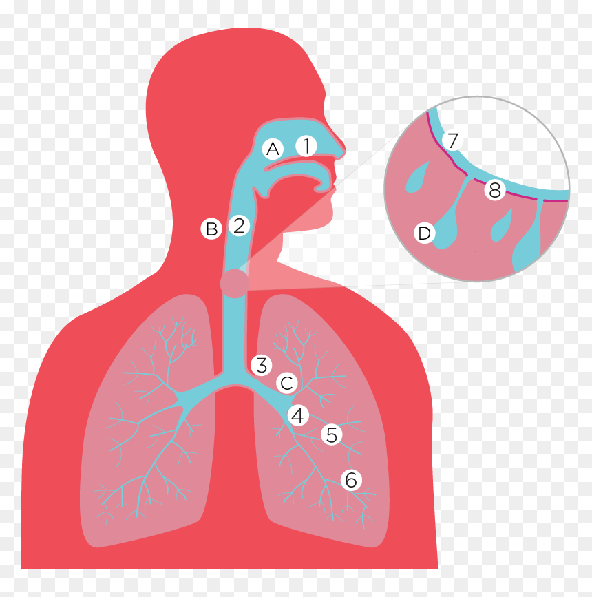 Illustration, HD Png Download - coughing png