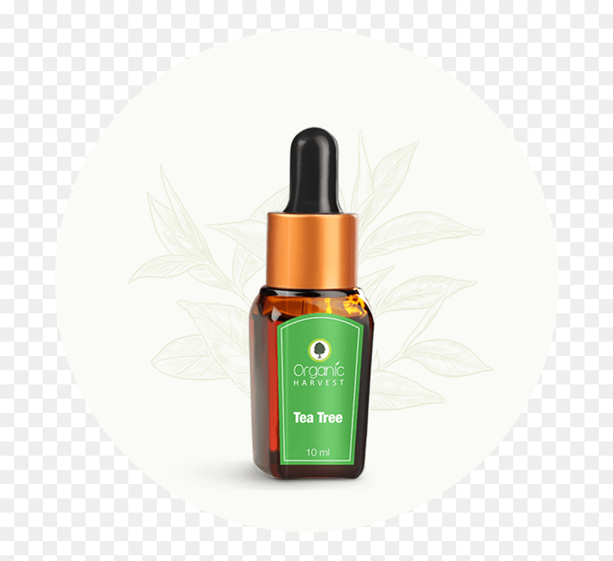 Organic Harvest Geranium Essential Oil, HD Png Download - tea tree png