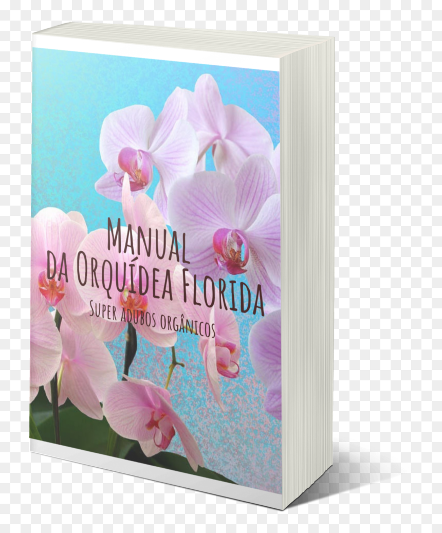 Phalaenopsis Equestris, HD Png Download - orquideas png