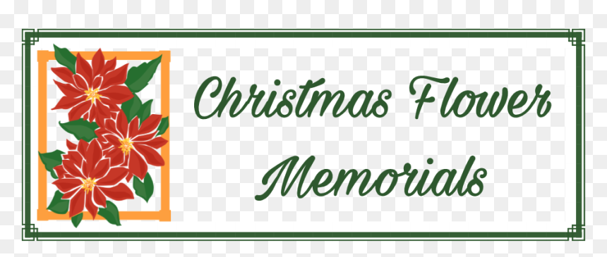 Picture - Field Marigold, HD Png Download - christmas flowers png