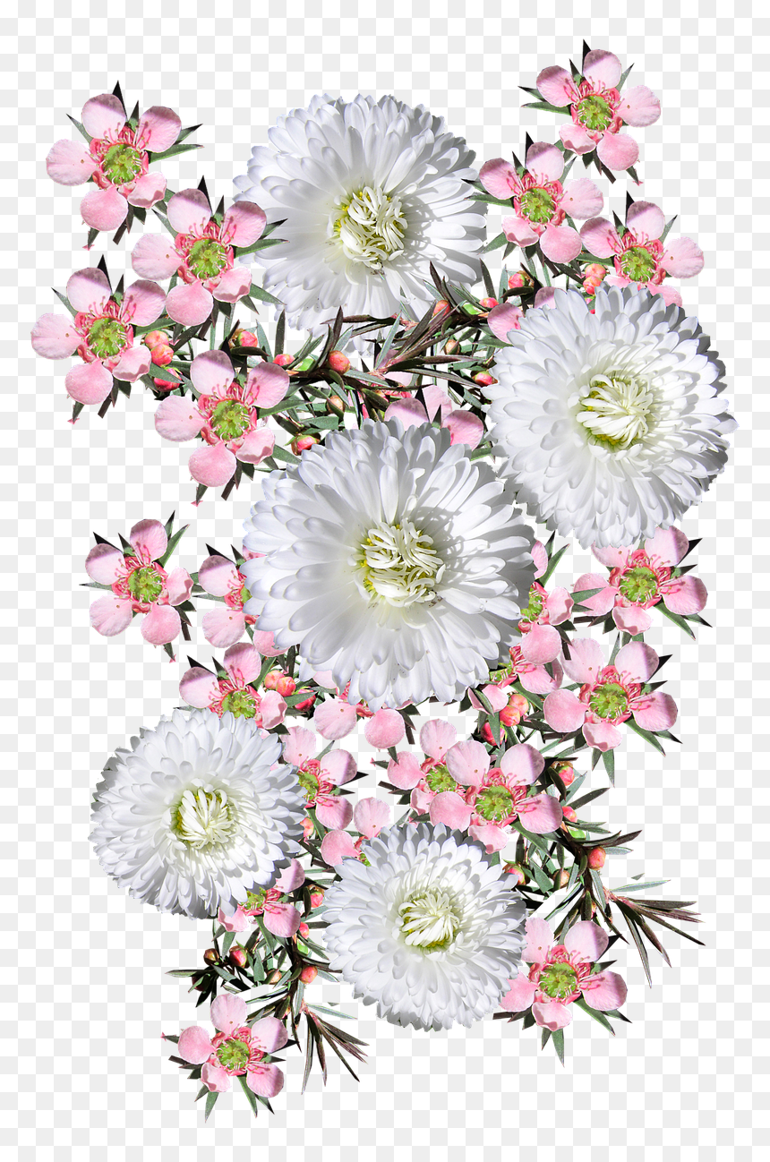 Bouquet, HD Png Download - tea tree png