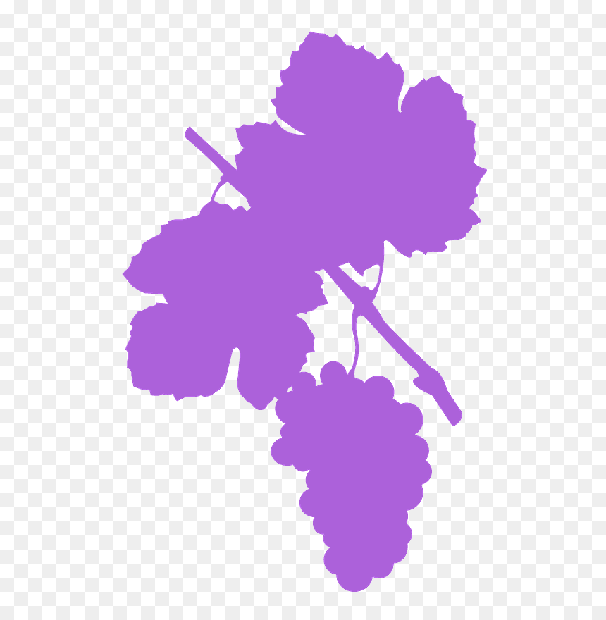Daou Wine Dinner Menu, HD Png Download - vine silhouette png