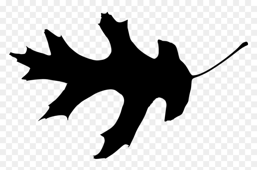 15 Leaf Silhouette, HD Png Download - vine silhouette png