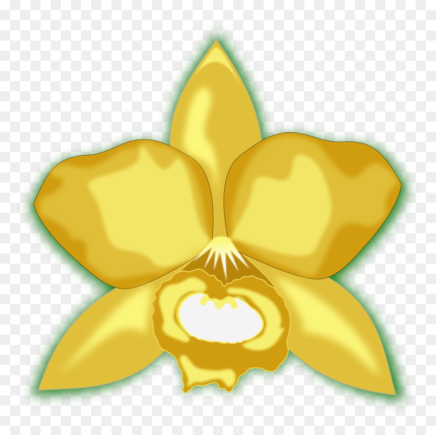 Cattleya - Fwd Colored Grapes 7 2016032519, HD Png Download - orquideas png