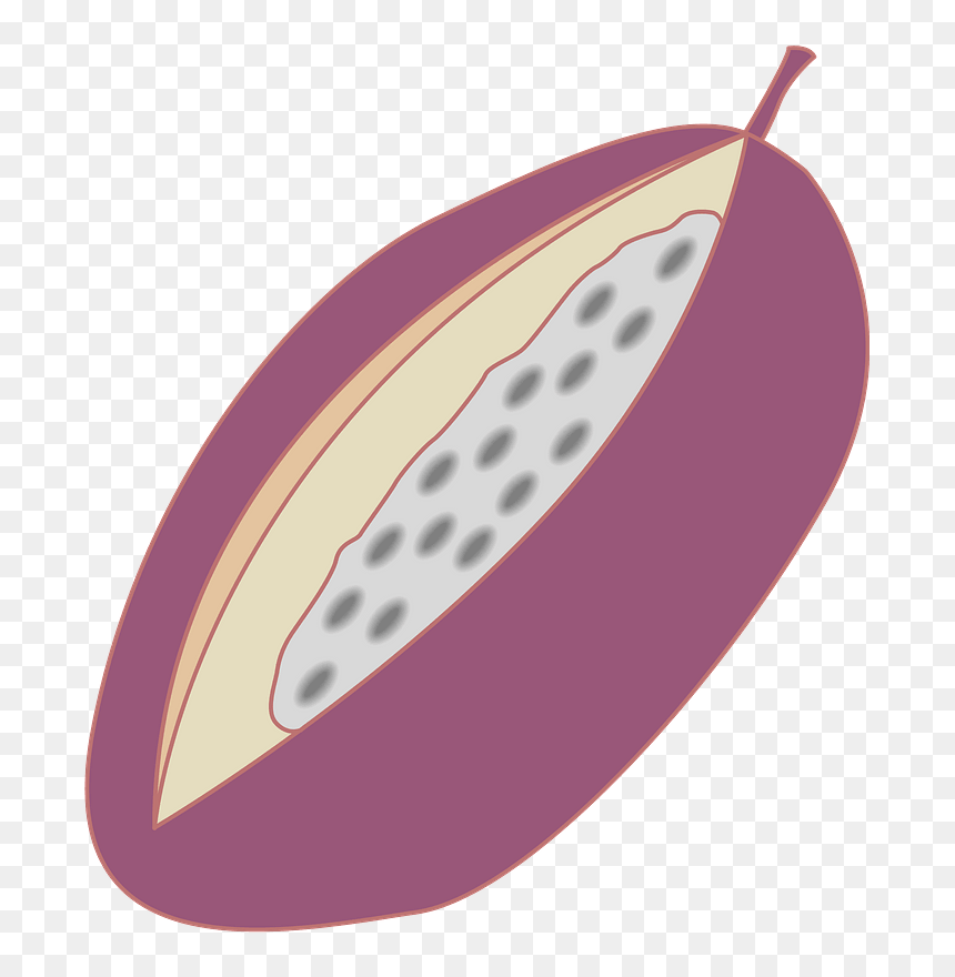 Chocolate Vine Five Leaf Akebia Clipart - Fruit, HD Png Download - vine silhouette png