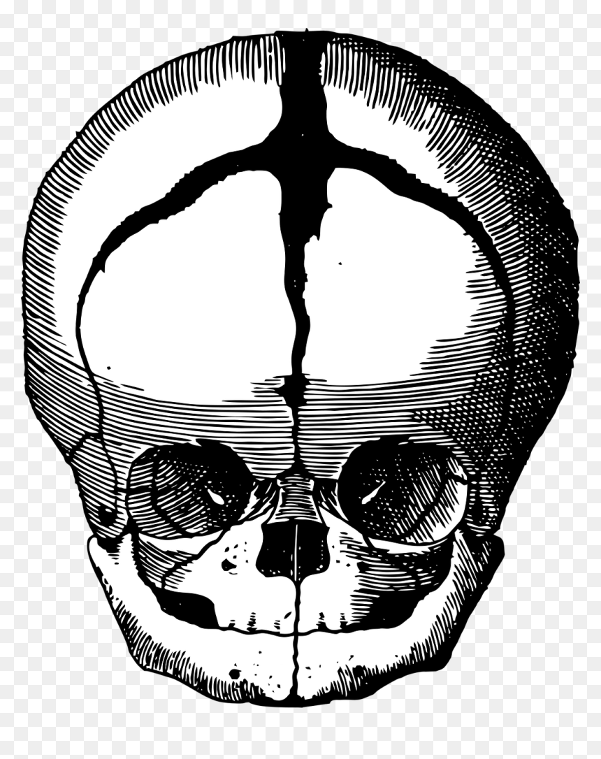 Fetus Skull Skull Fetus Free Photo - Fetus, HD Png Download - skull pile png