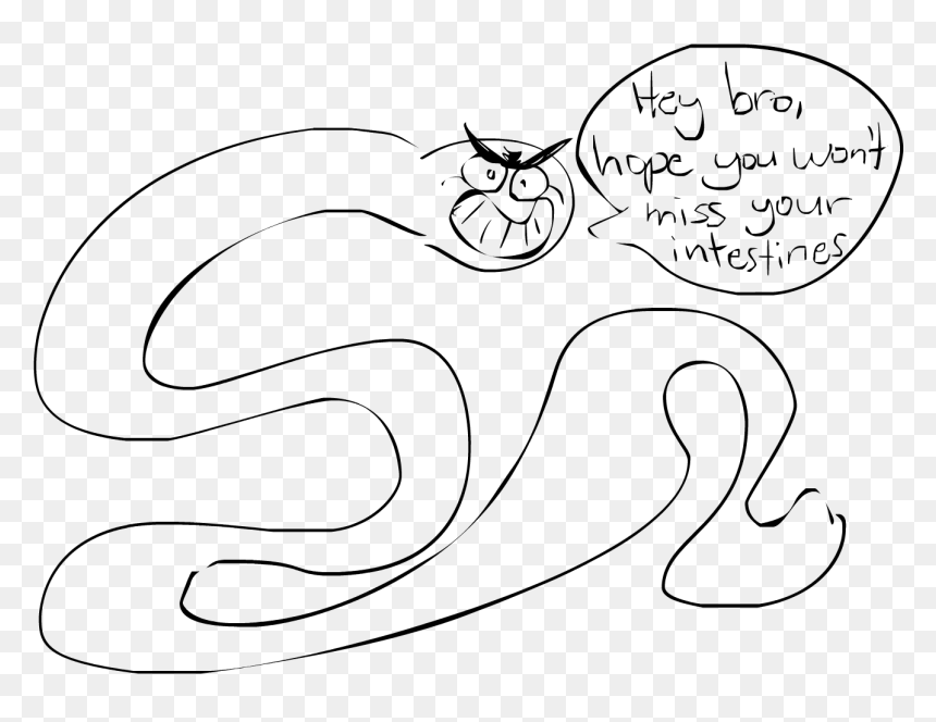 My Stupid Cat Can - Cartoon, HD Png Download - small intestine png
