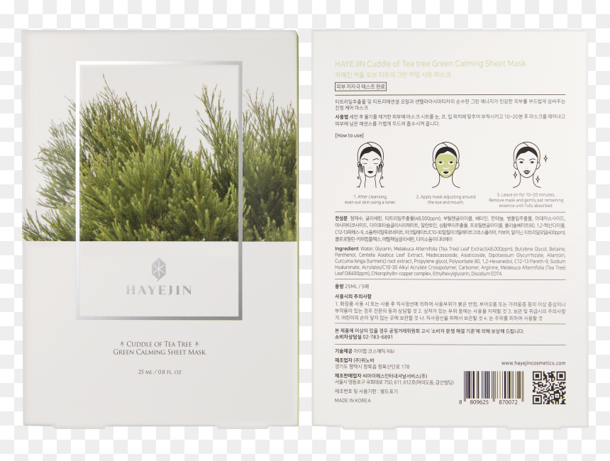 Tree, HD Png Download - tea tree png
