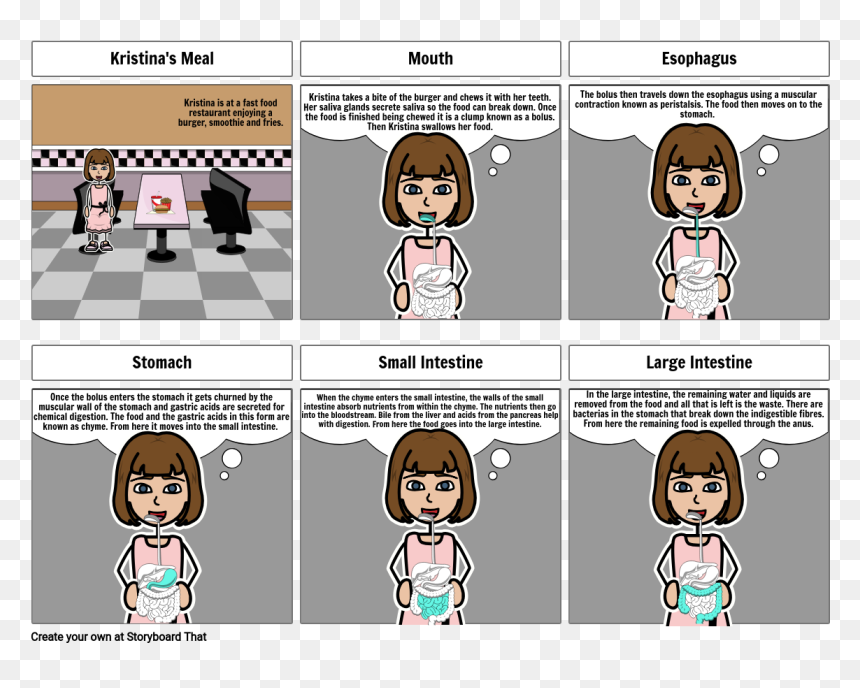 Cartoon, HD Png Download - small intestine png