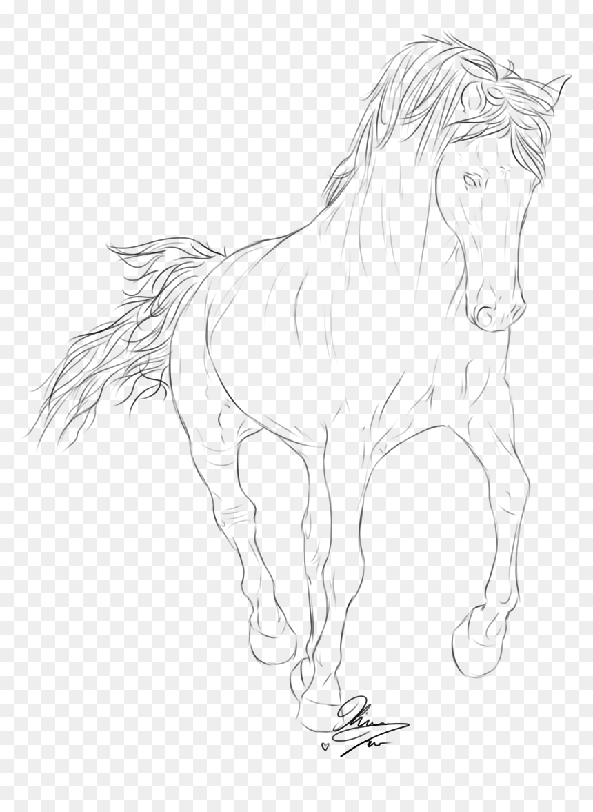 Relevant Images For Native American Arrow Drawing - Line Art, HD Png Download - mountain drawing png