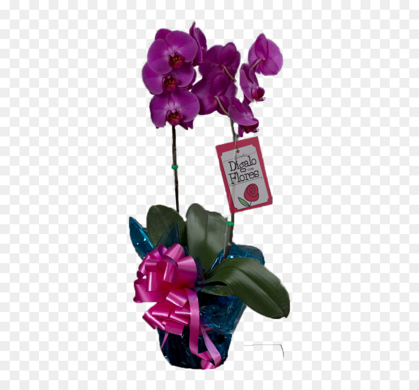 Artificial Flower, HD Png Download - orquideas png