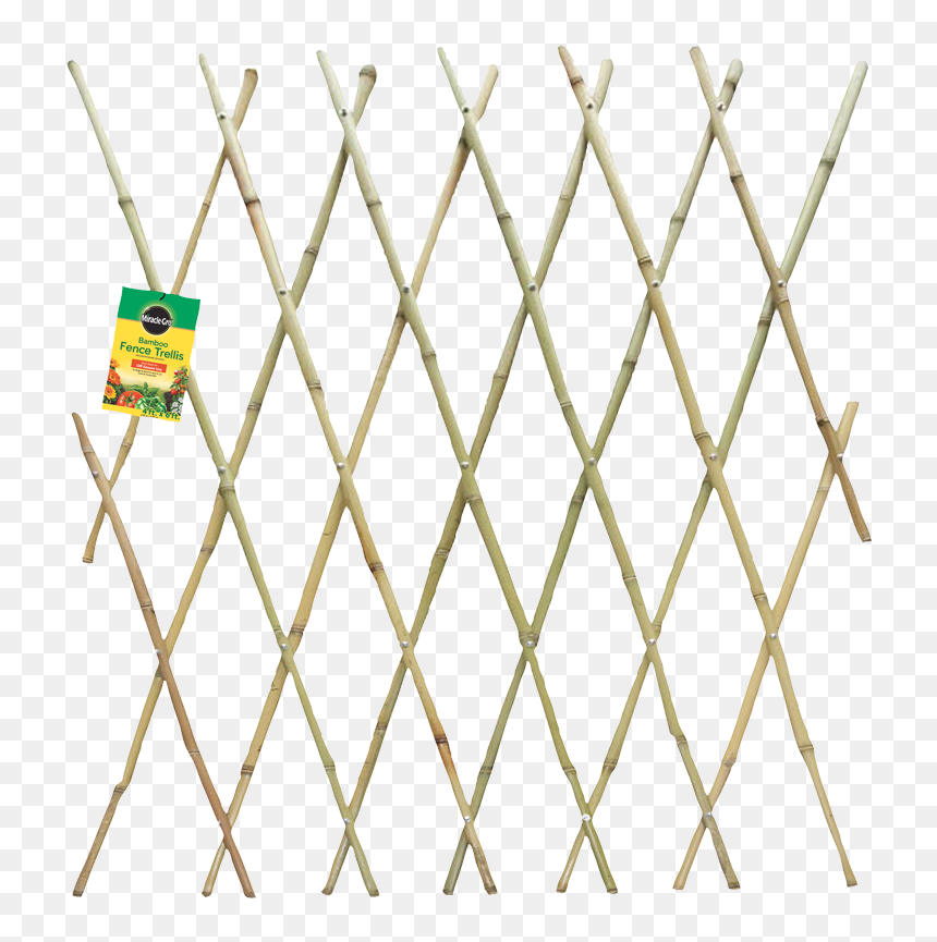 Miracle Gro Bamboo Fence, HD Png Download - wire fence png