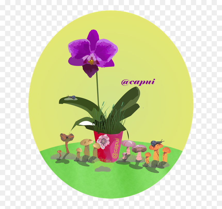 Orchids Of The Philippines, HD Png Download - orquideas png