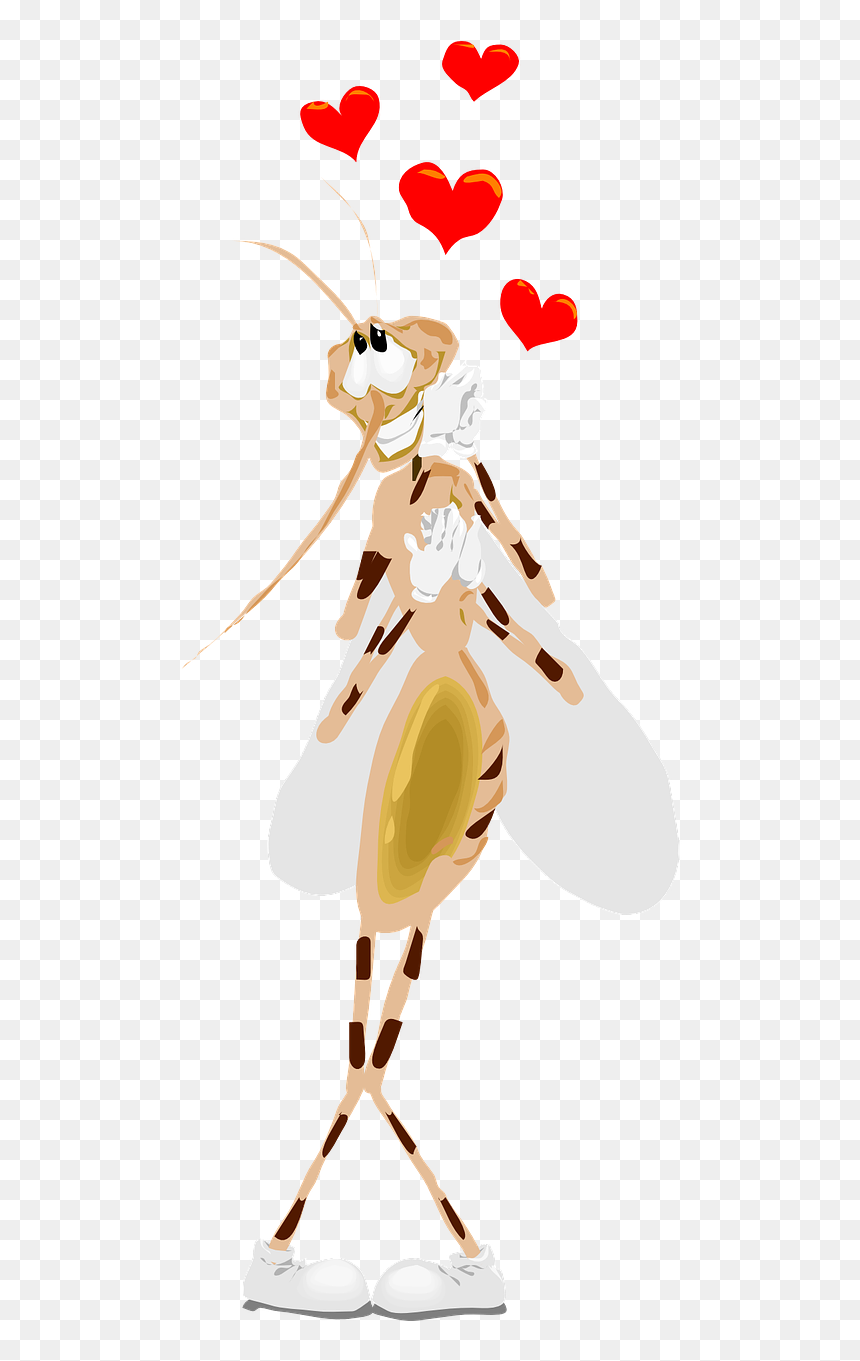 Sexo De Mosquitos, HD Png Download - heart with wings png