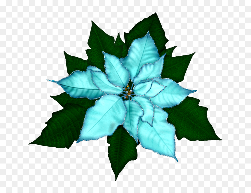 Fantasy Moments ~ Winter Impressions - Christmas Poinsetta Border Clipart, HD Png Download - winter background png
