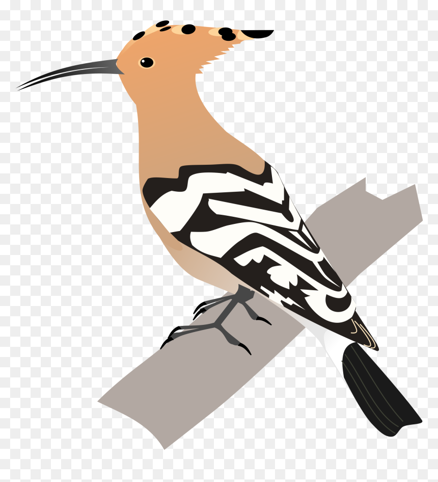 Hoopoe Bird Animated , Png Download - Hoopoe Diagram, Transparent Png - animated png images