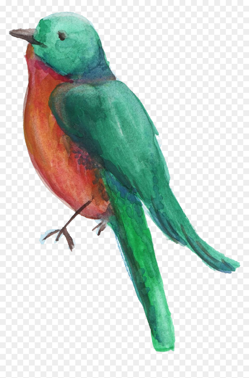 Watercolor Bird Png Black And White Download - Portable Network Graphics, Transparent Png - white bird png