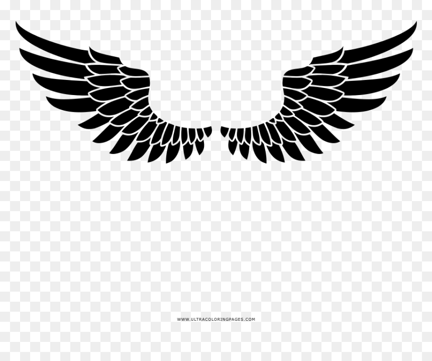Wings Coloring Page - Portable Network Graphics, HD Png Download - asas png